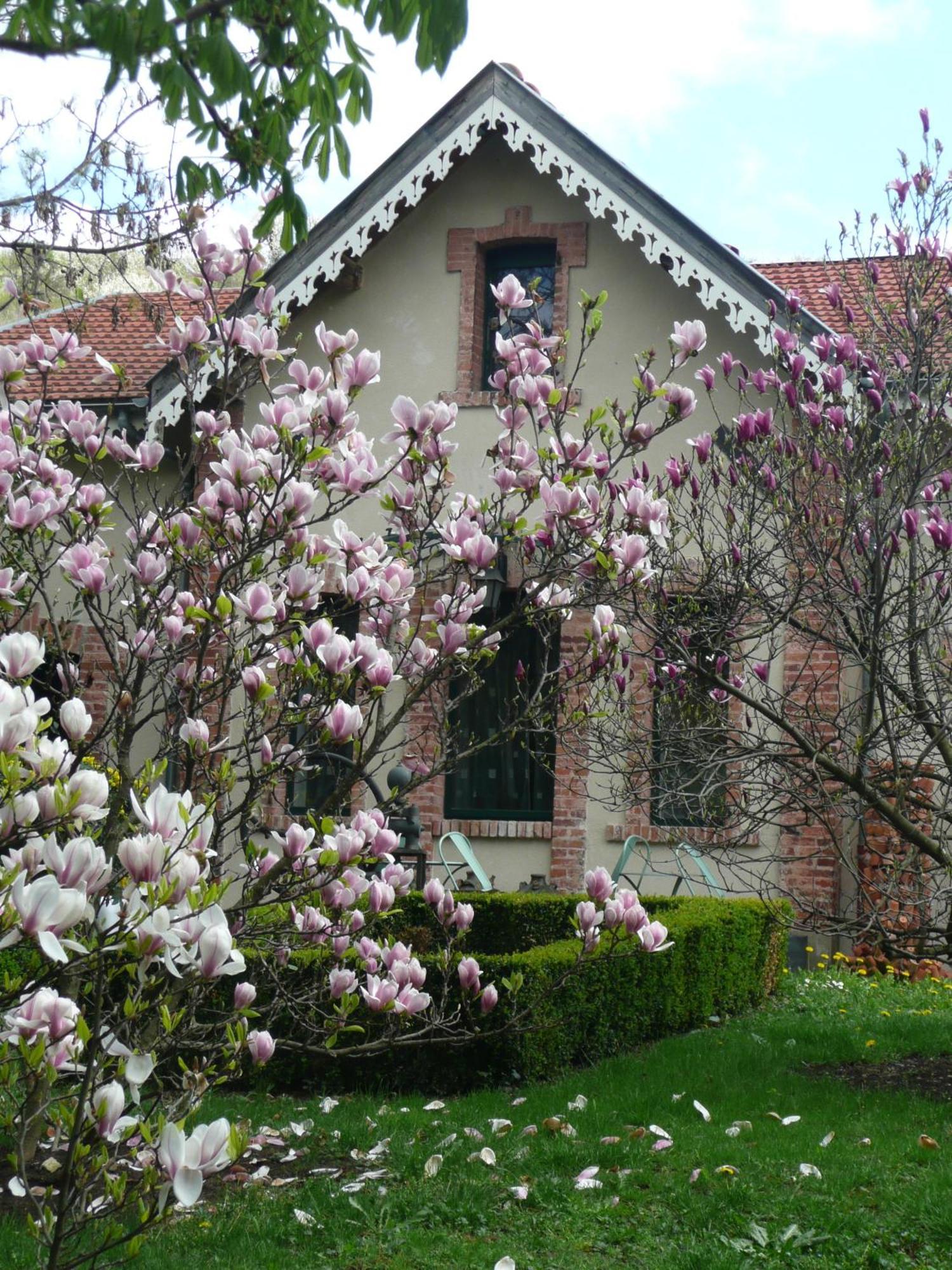 Bed and Breakfast Au Fond De La Cour Veyre-Monton Экстерьер фото